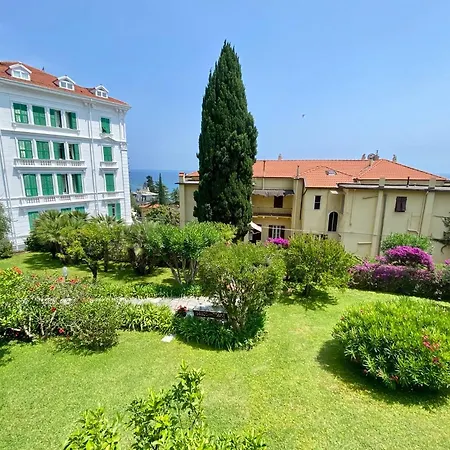 Bouganville San Remo